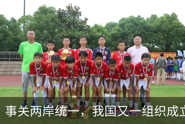 事关两岸统一，我国又一组织成立，台一“邦交”紧急向我国喊话