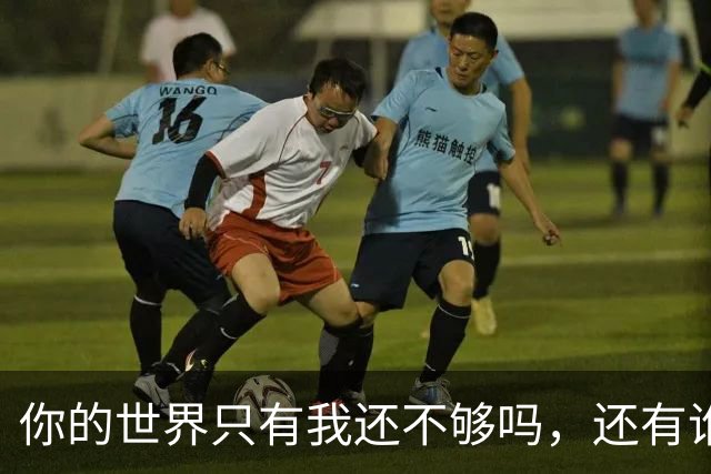 你的世界只有我还不够吗，还有谁呢？