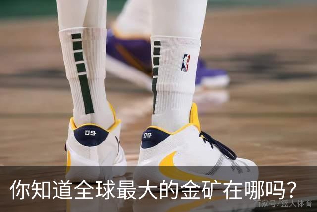 你知道全球最大的金矿在哪吗？