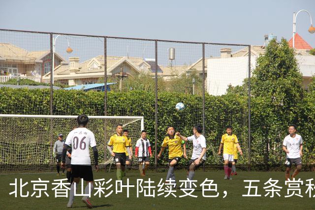 北京香山彩叶陆续变色，五条赏秋线路各有特点