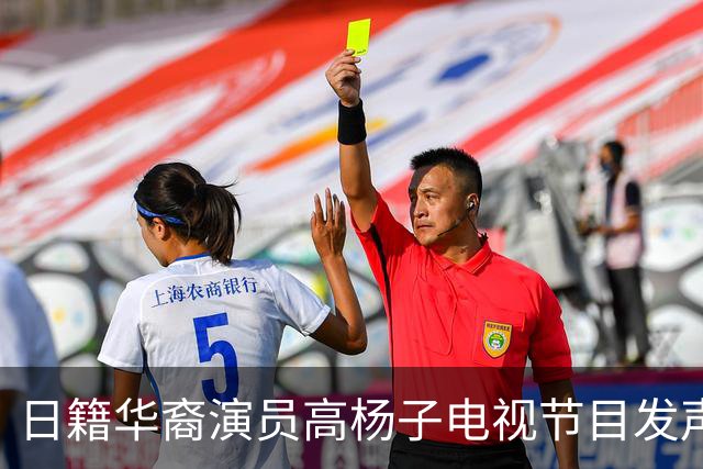 日籍华裔演员高杨子电视节目发声：日本首相没资格替中国人翻篇