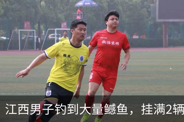 江西男子钓到大量鳡鱼，挂满2辆电动车！网友：为民除害！再多也不眼红