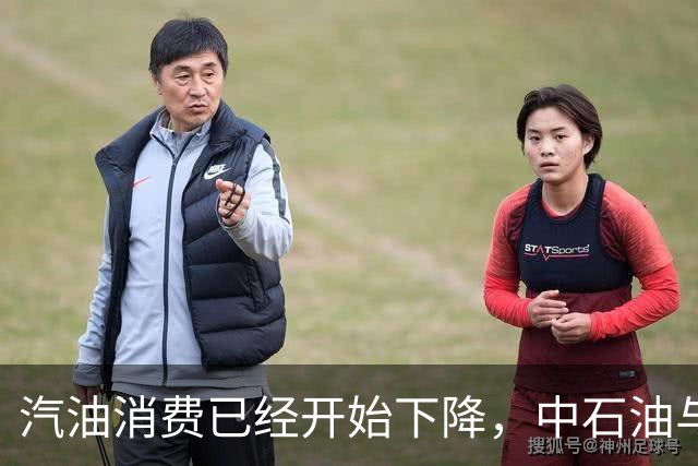 汽油消费已经开始下降，中石油与中石化为何还要大举扩建加油站？