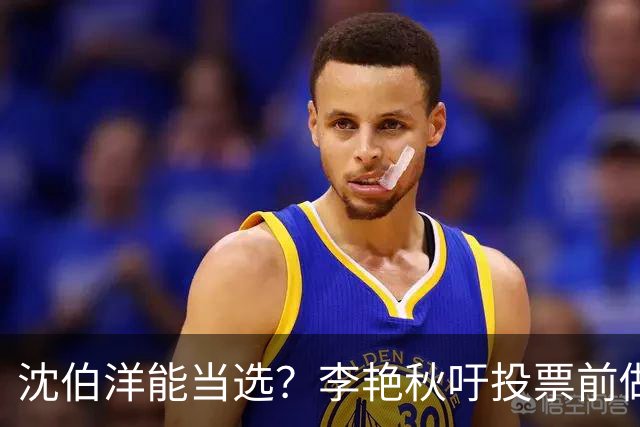 沈伯洋能当选？李艳秋吁投票前做好“三不”：一不看民调、二不看造势、三不看政论