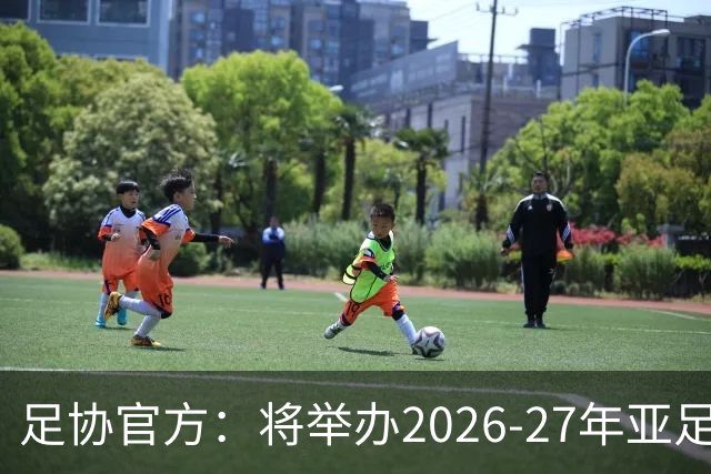 足协官方：将举办2026-27年亚足联/中国足协职业级教练员培训课