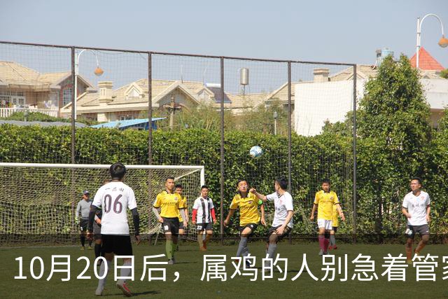 10月20日后，属鸡的人别急着管家里的事
